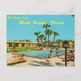 Weeki Wachee Florida vintage vycard Vykort