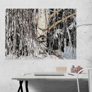 Weeping Birch Öga of Horus Canvastryck