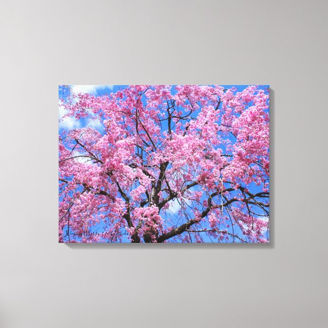 Weeping Cherry: Yaebenishidare [Canvas Print] Canvastryck (Framsida)