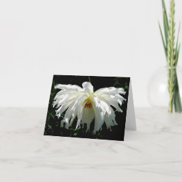 Weeping White Dahlia Anteckningskort