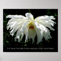 Weeping White Dahlia, inspirationcitat
