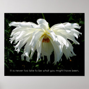 Weeping White Dahlia, inspirationcitat Poster