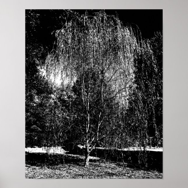 Weeping Willow Canvas Poster (Framsidan)