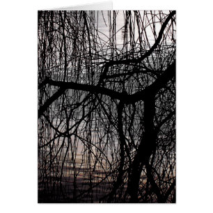 WEEPING WILLOW TRÄD-kort Hälsningskort