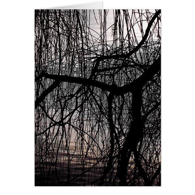 WEEPING WILLOW TRÄD-kort Hälsningskort (Framsidan)