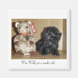 WEEWILLYvs4inchBB- 1, Wee Willy vid 2 veckors ålde Magnet