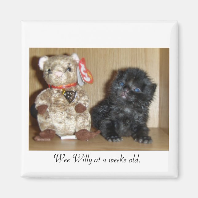 WEEWILLYvs4inchBB- 1, Wee Willy vid 2 veckors ålde Magnet (Framsidan)