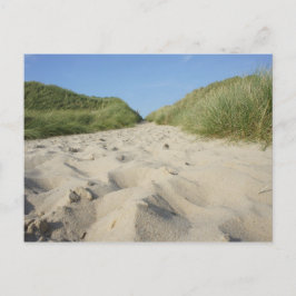 Weg zum Strand durch Strandhafer Vykort
