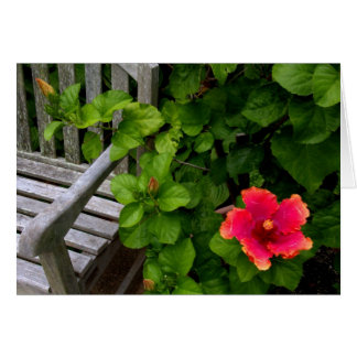 Wegerzyn Garden Center #30 Hälsningskort