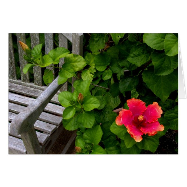 Wegerzyn Garden Center #30 Hälsningskort (Framsidan Horizontal)