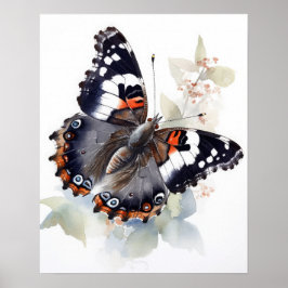 Weidemeyers amiral Butterfly Art Print Poster