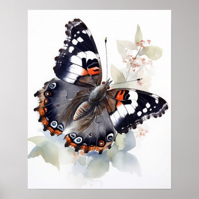 Weidemeyers amiral Butterfly Art Print Poster (Framsidan)