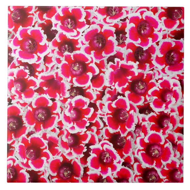 Weigela Florida Flowers Kakelplatta (Framsidan)