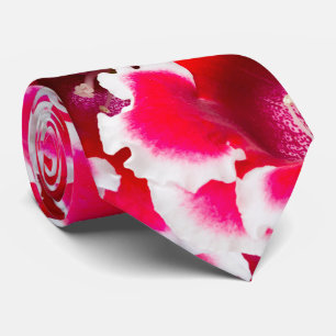 Weigela Florida Flowers Slips