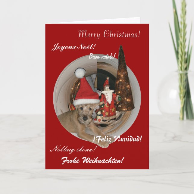 Weihnachtskarte ’Irish Terrier’ Helgkort (Framsida)