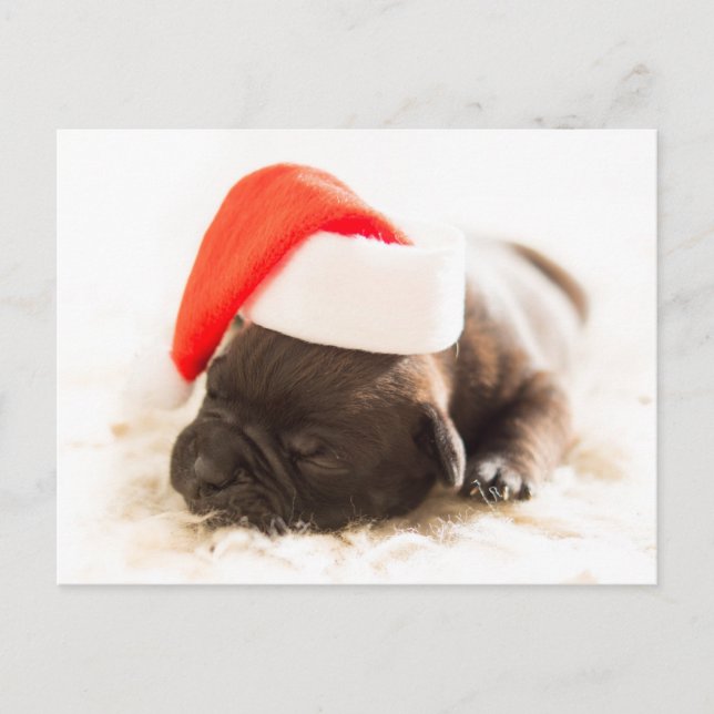 Weihnachtswelpe Helg Vykort (Framsida)