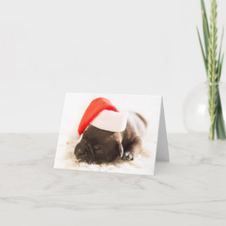 Weihnachtswelpe Helgkort