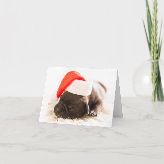 Weihnachtswelpe Helgkort (Framsida)