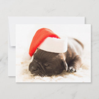 Weihnachtswelpe Julkort