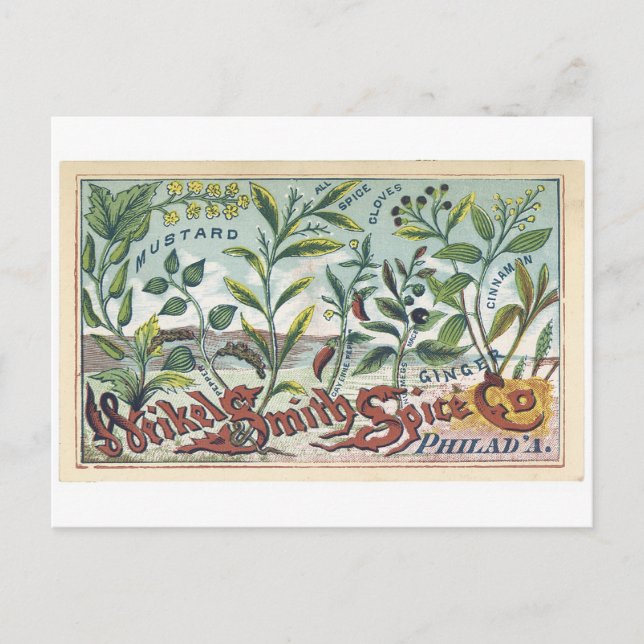 Weikel Smith Spice Co. Phila Vykort (Framsida)