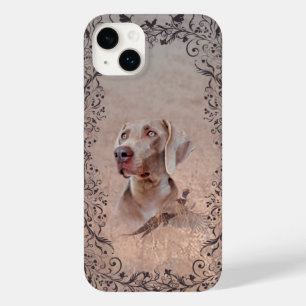 Weimaraner