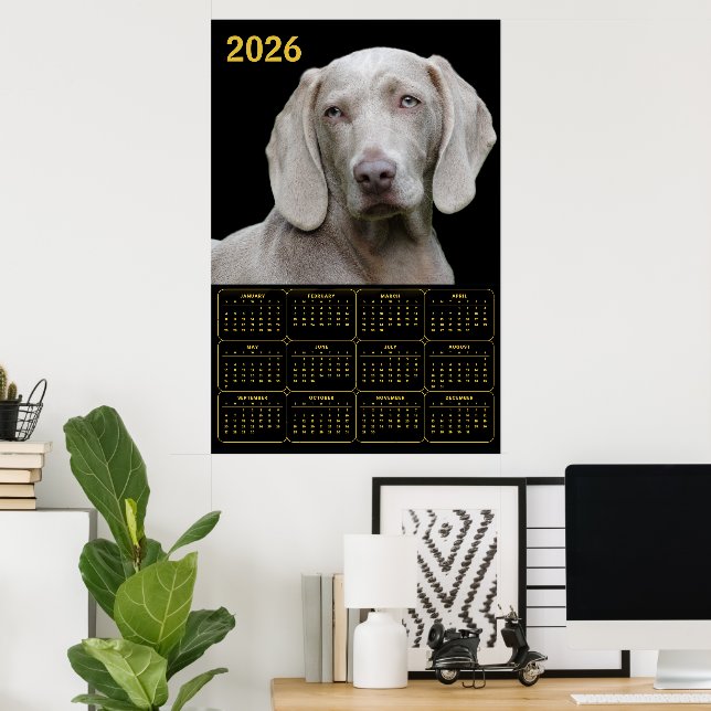 Weimaraner 2026 Kalender Poster (Hemmakontoret)