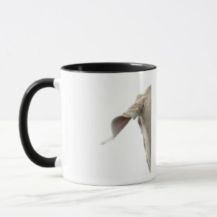 Weimaraner 2 mugg