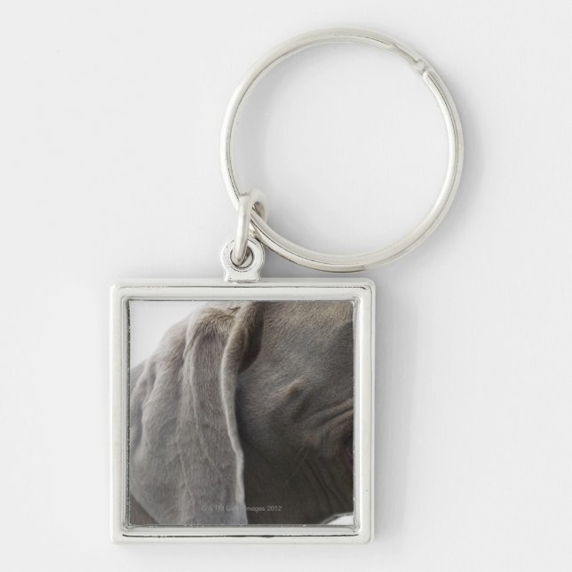 Weimaraner 3 fyrkantig silverfärgad nyckelring (Framsidan)