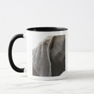 Weimaraner 3 mugg