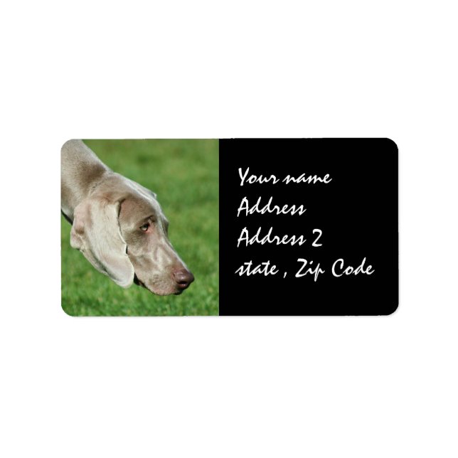 Weimaraner Adressetikett (Framsidan)
