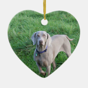 Weimaraner älskareprydnad julgransprydnad keramik