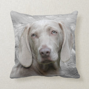 Weimaraner ansikte kudde