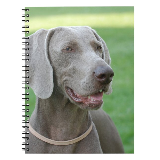 Weimaraner Anteckningsbok (Framsidan)
