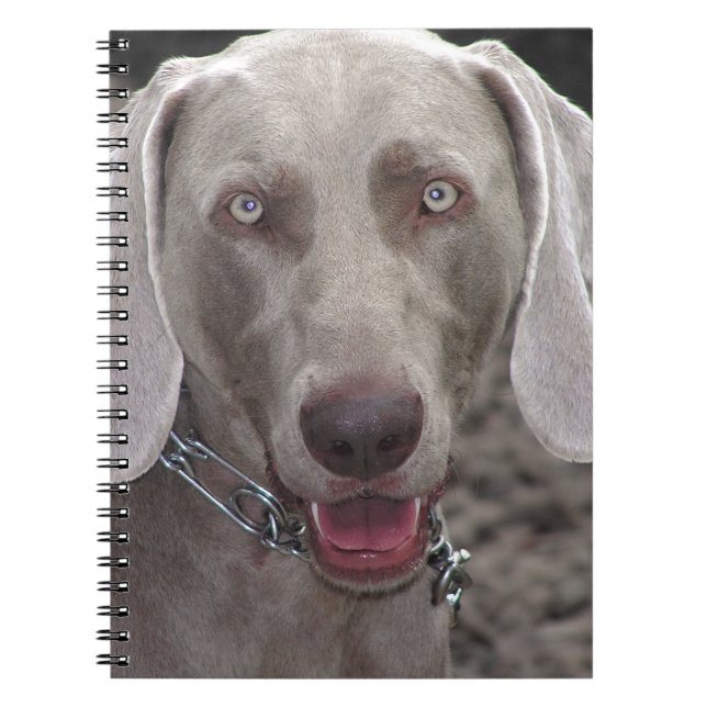 Weimaraner Anteckningsbok Med Spiral (Framsidan)