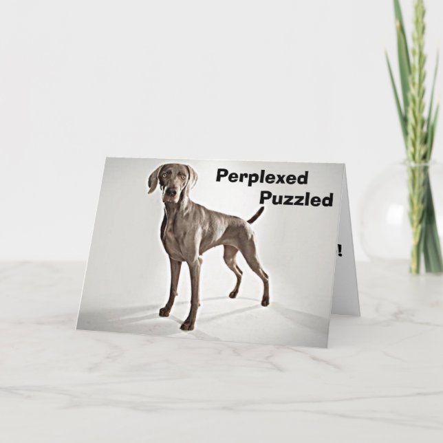 WEIMARANER ÄR PERPLEXED/PUZLED U R 40! KORT (Framsida)