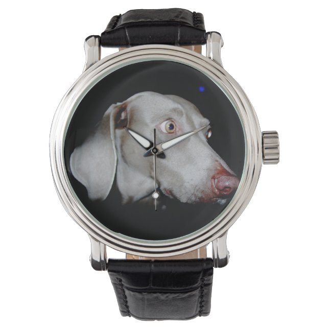 Weimaraner Armbandsur (Framsida)