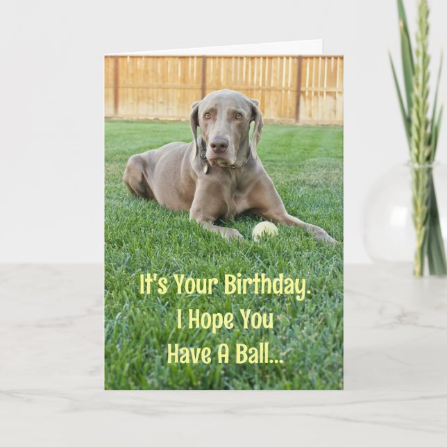 Weimaraner Birthday Card Kort (Framsida)