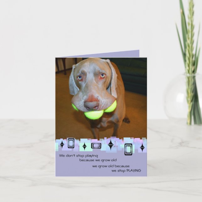 Weimaraner Birthday Greeting Card Kort (Framsida)
