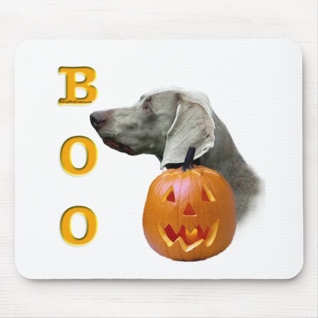 Weimaraner Boo Musmatta (Framsidan)