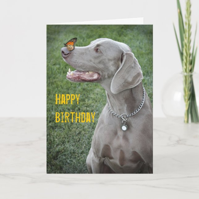 Weimaraner & Butterfly Card Kort (Framsida)