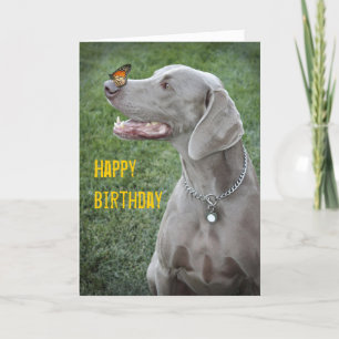 Weimaraner & Butterfly Card Kort