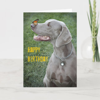 Weimaraner & Butterfly Card Kort