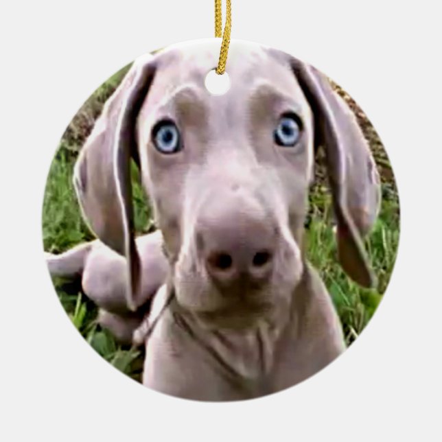 "WEIMARANER" CHRISTMAS ORNAMENT (Framsidan)