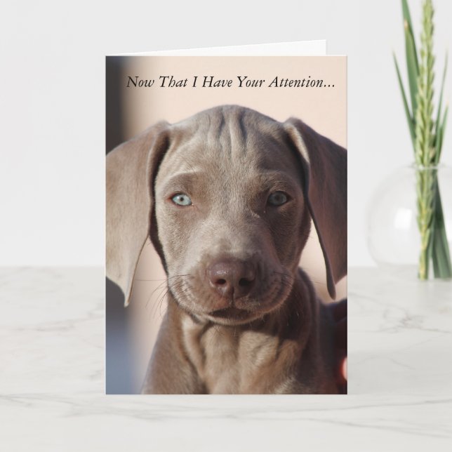 Weimaraner "du är den bästa" hälsningskortet kort (Framsida)