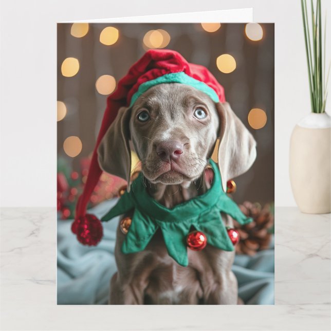 Weimaraner Elf Puppy-julkort Kort (Framsida)