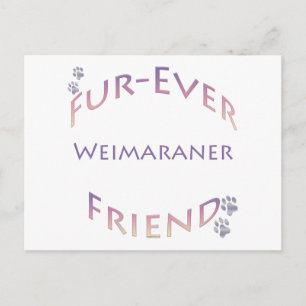 Weimaraner Evig Vän Vykort