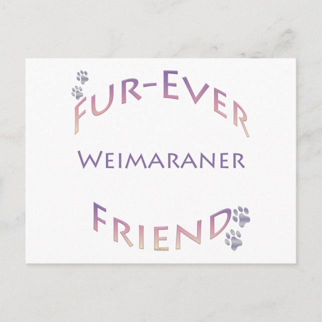 Weimaraner Evig Vän Vykort (Framsida)