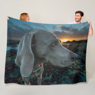 WEIMARANER FLEECEFILT