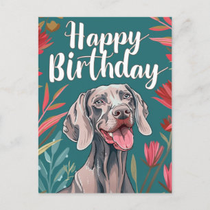 Weimaraner födelsedag vykort