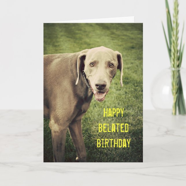 Weimaraner Funny Belet Birthday Card Kort (Framsida)